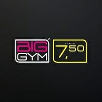 logo Big Gym